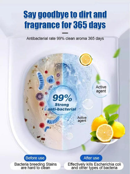 Toilet Deodorizer Bathroom Cleaner Tablet Pack of 1 (12 Pcs)